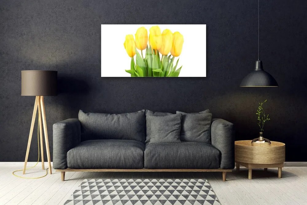 Obraz plexi Tulipány kvety rastlina 100x50 cm