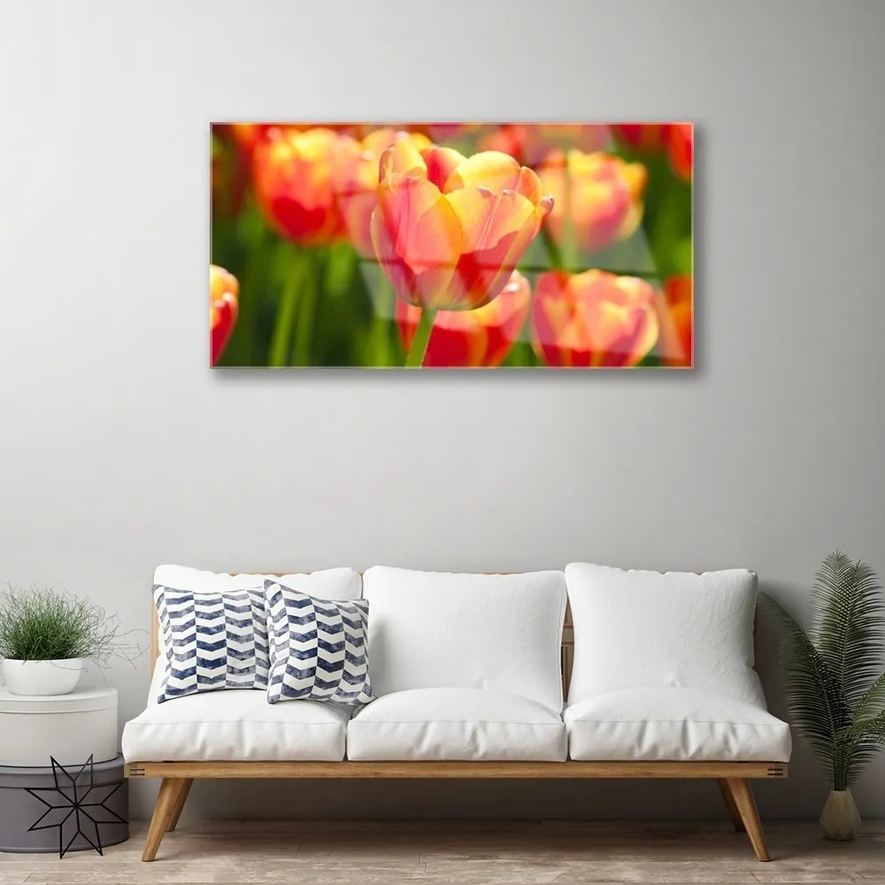 Skleneny obraz Tulipány kvety rastlina 100x50 cm