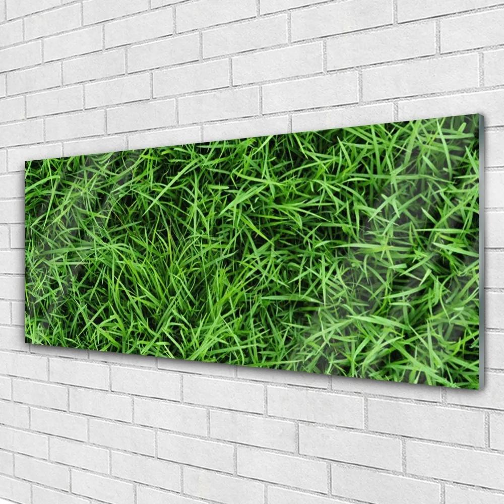 Obraz na akrylátovom skle Tráva trávnik 125x50 cm