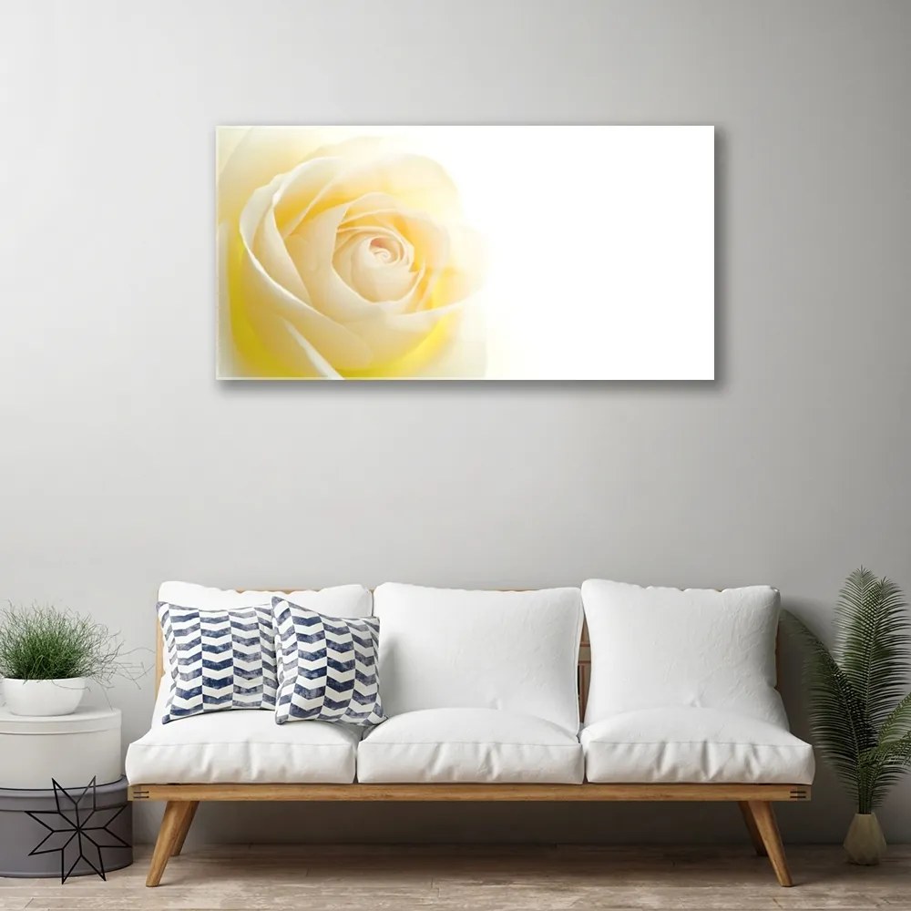 Skleneny obraz Ruže kvet rastlina 120x60 cm