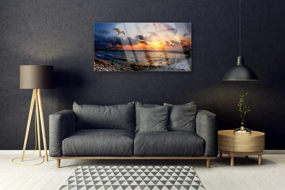 Obraz na skle Čajka more pláž krajina 125x50 cm