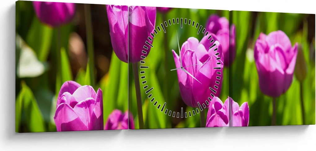 Obraz tulipánov na lúke (s hodinami) (90x30 cm)