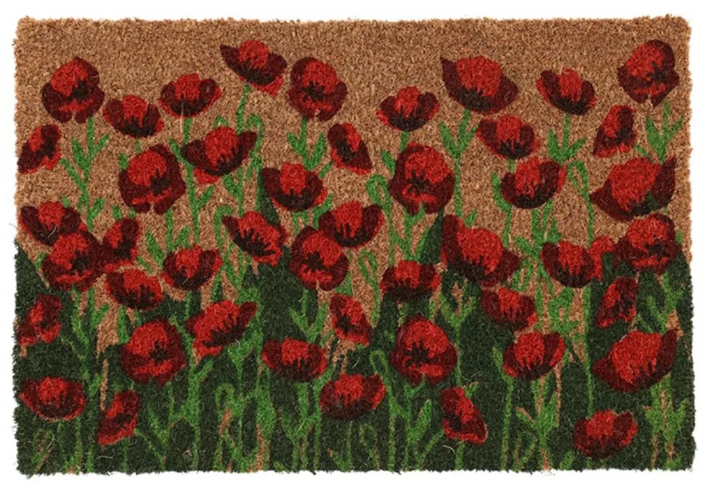 Vonkajšia rohožka Poppies, 60x40 cm