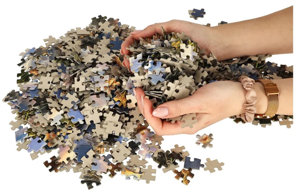 KIK CASTORLAND Puzzle 1000el. Aký otec, taký syn