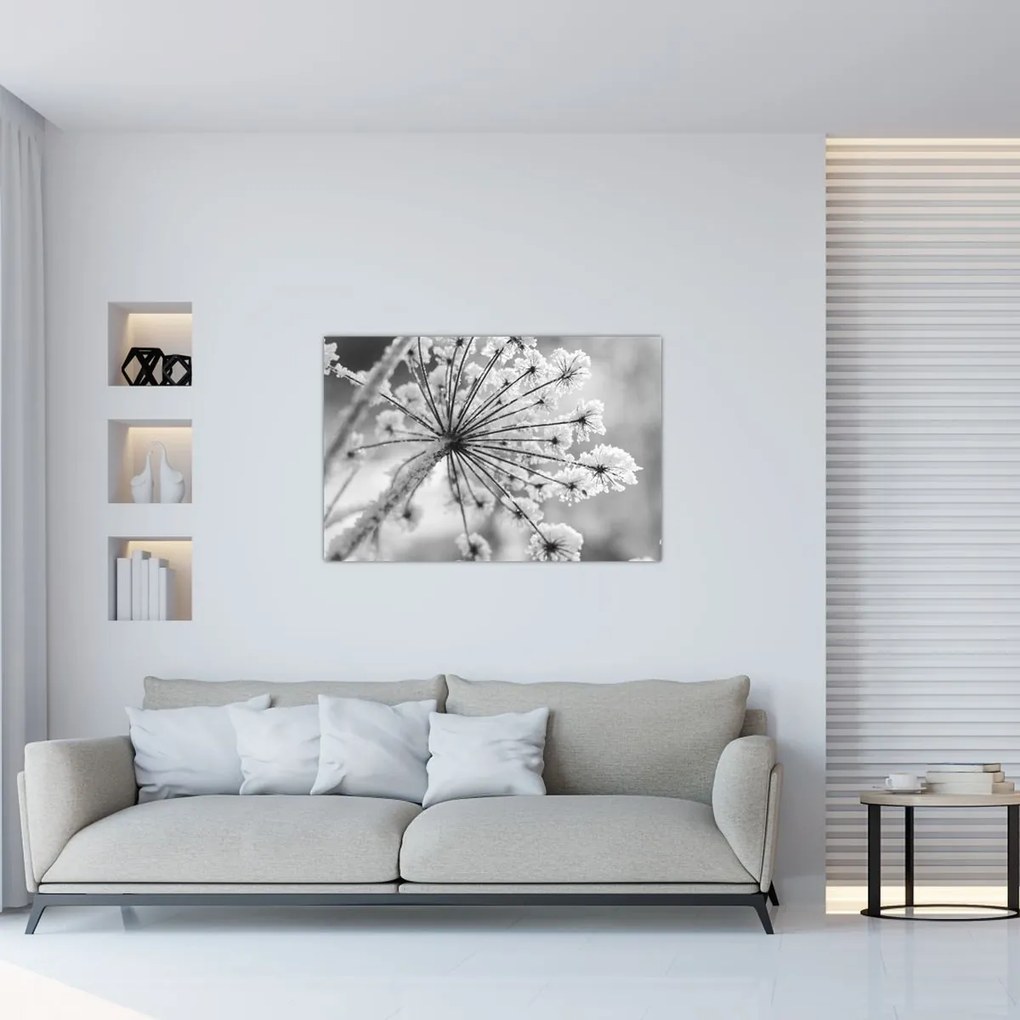 Obraz - Kvetina v zime (90x60 cm)