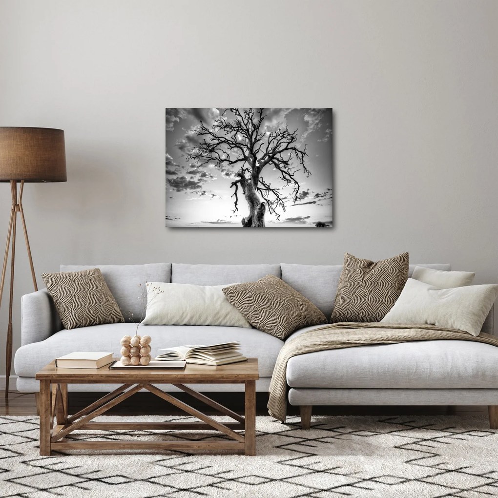 Obraz - Čiernobiely strom (70x50 cm)