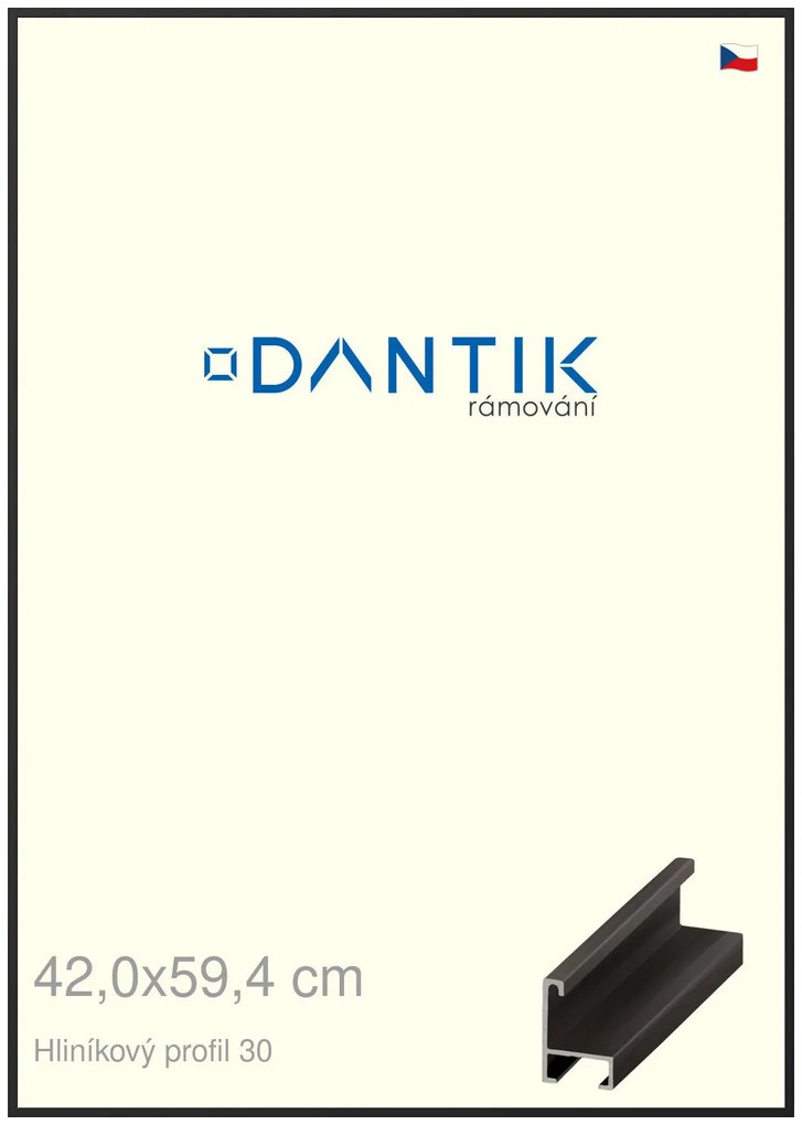 DANTIK rám na obraz 42x59,4 | ALU Černá matná (Plexi Čiré)