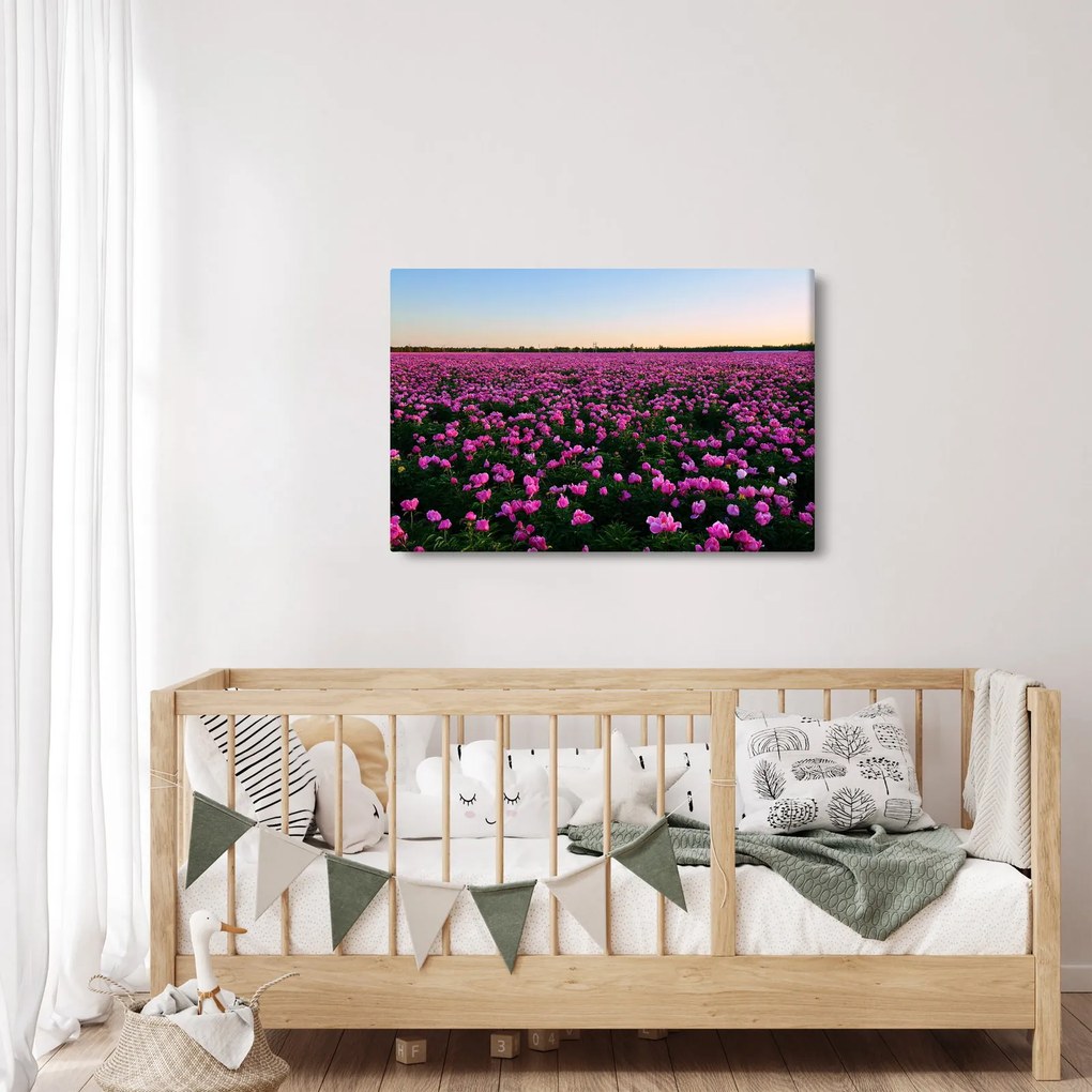 Obraz - Lúka fialových tulipánov (90x60 cm)