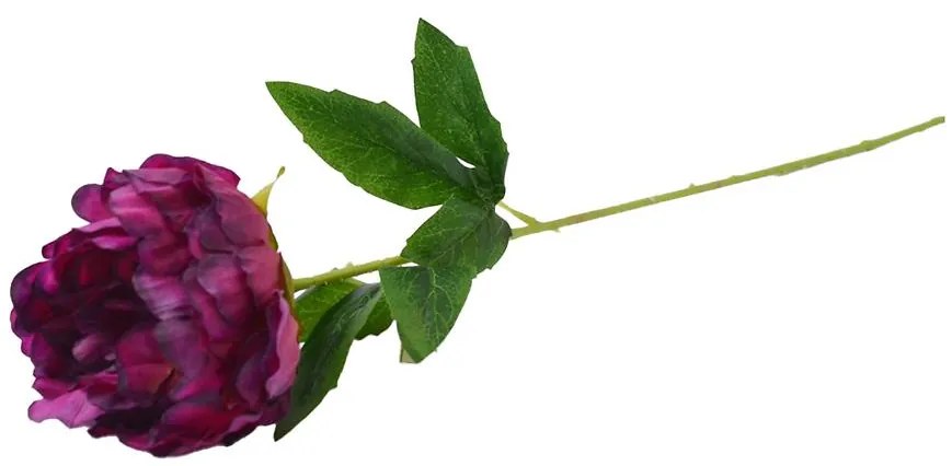 Pivonka 55 cm fialová