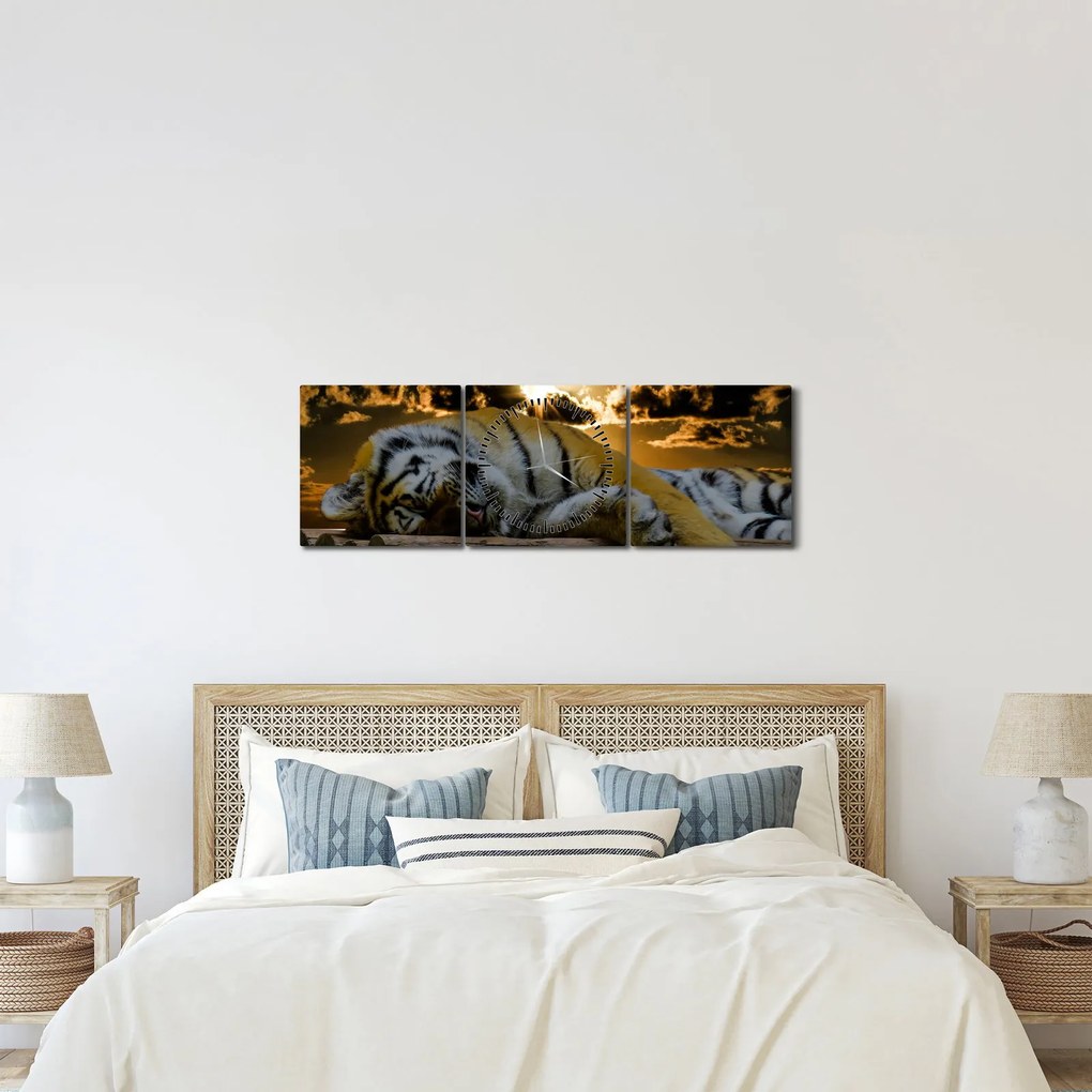 Obraz spiaceho tigra (s hodinami) (90x30 cm)