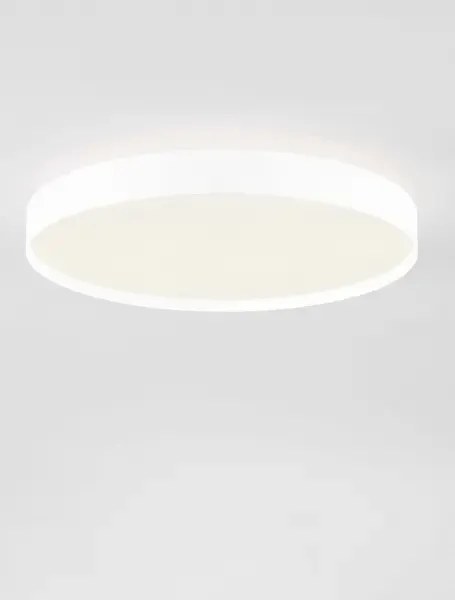 LED stmievateľné biele moderné stropné svietidlo Roi 50