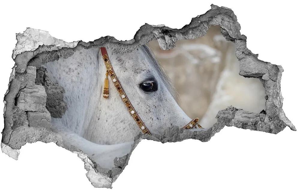 Diera 3D fototapeta nálepka Biela arabský kôň nd-b-143185113