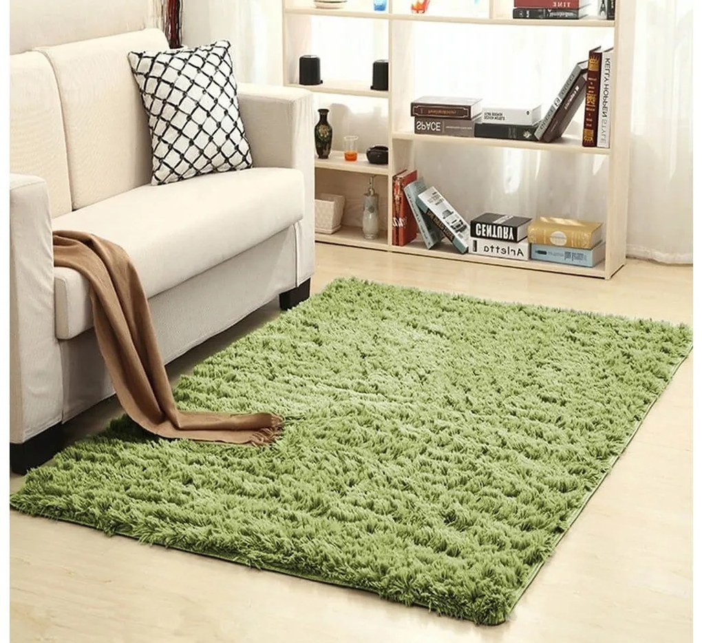 TZ Zelený obdĺžnikový shaggy koberec Lana Rozmer: 250x350
