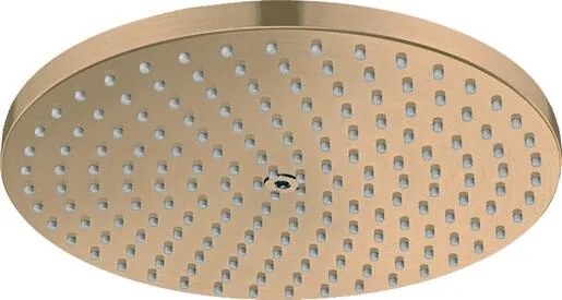 Hansgrohe Raindance S hlavová sprcha kartáčovaný bronz 27623140