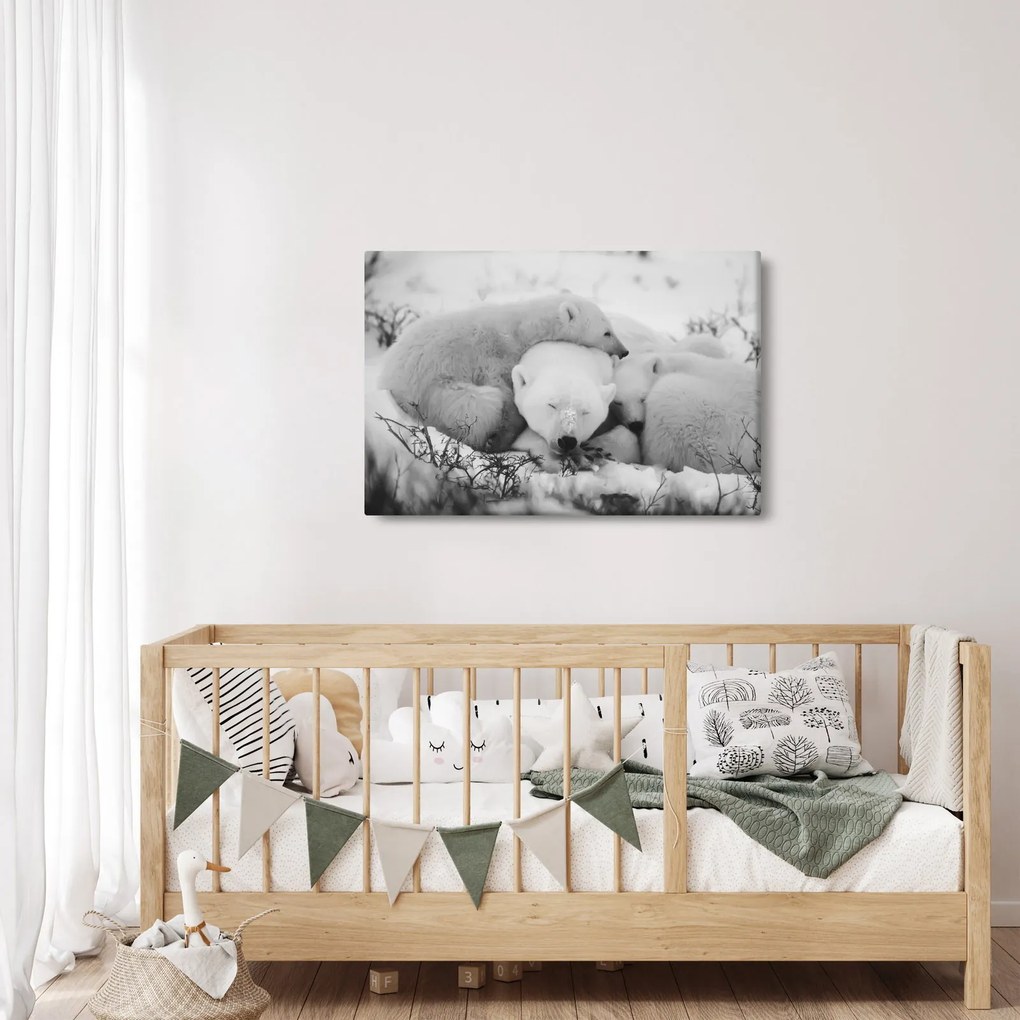 Obraz - Ľadové medvede (90x60 cm)