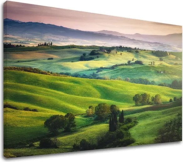 Obraz na stenu LÚKA_049-11