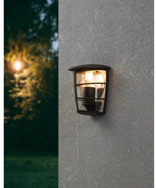 Eglo 93407 - Vonkajšie nástenné svietidlo ALORIA 1xE27/60W/230V IP44