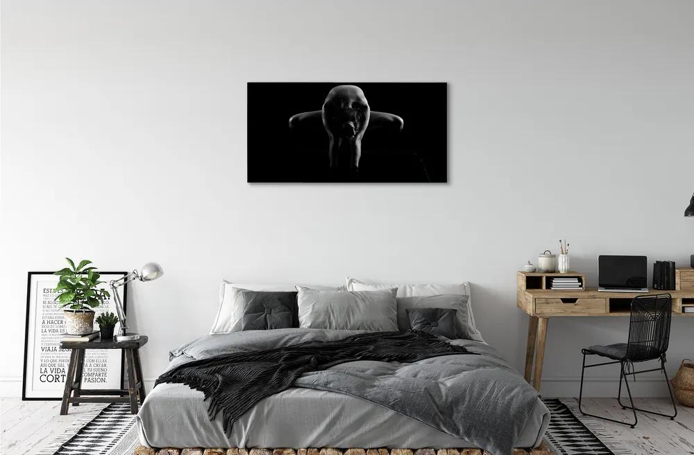 Obraz canvas Žena čiernej a bielej 125x50 cm