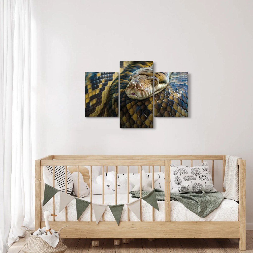Obraz - Pytón (90x60 cm)