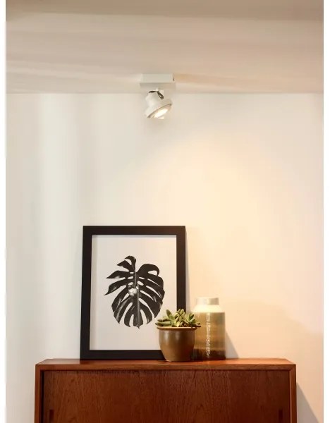 Lucide 17906/06/31 - LED Bodové svietidlo GU10/5W/230V