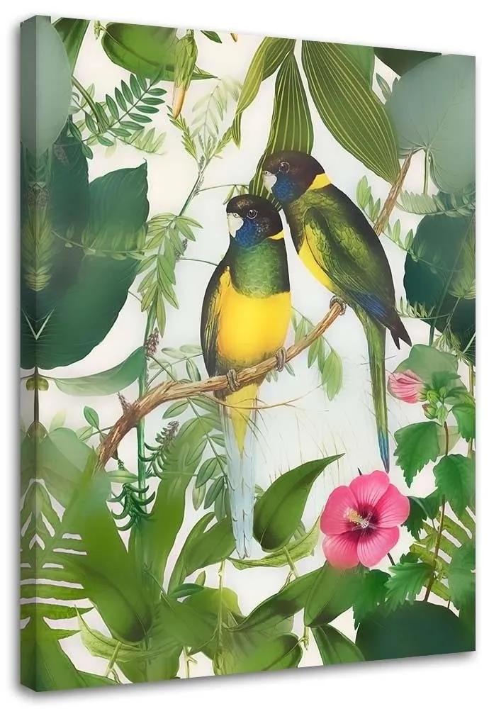 Gario Obraz na plátne Vtáky v džungli 2 - Andrea Haase Rozmery: 40 x 60 cm