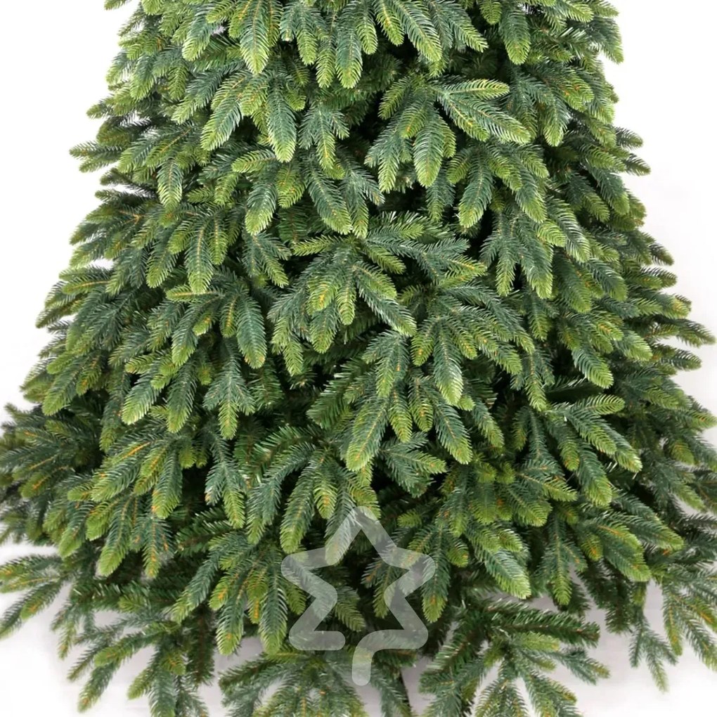 Smrek Tajga 3D 180 cm