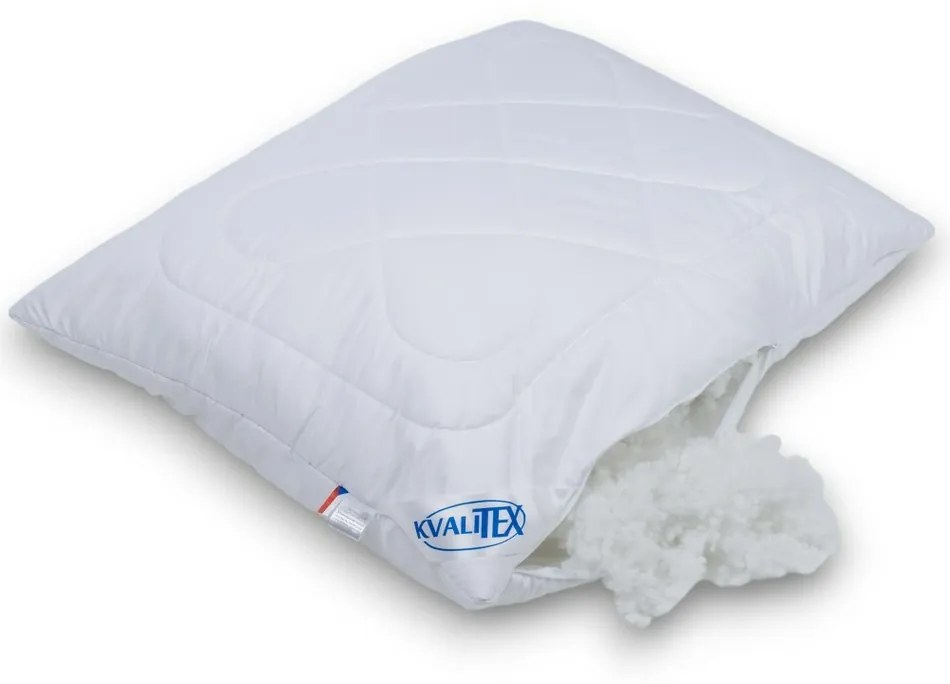 Kvalitex Vankúš Aloe Vera so zipsom 700 g, 70 × 90 cm, 700 g