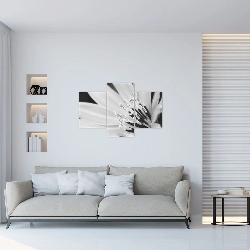 Obraz - Čiernobiely kvet (90x60 cm)