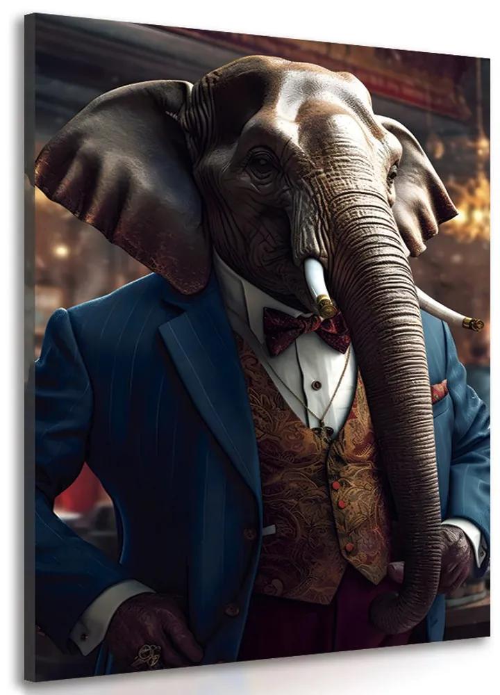 Obraz zvierací gangster slon Varianta: 60x90