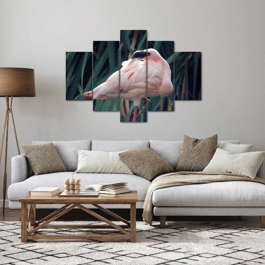 Obraz - Plameniak (150x105 cm)