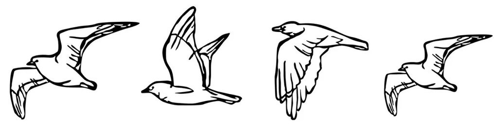 Nástenná kovová dekorácia Vtáky 100x24 cm čierna