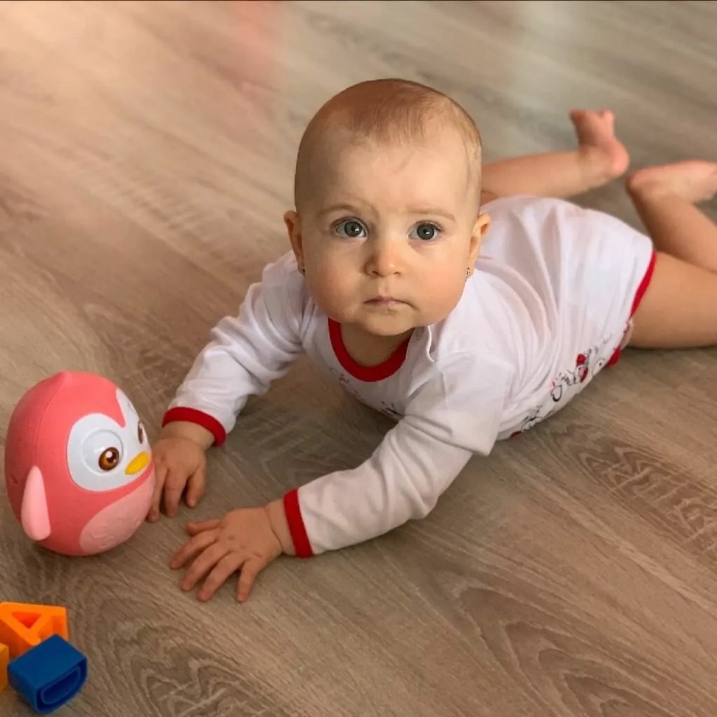 Hojdacia hračka Baby Mix Penguin ružová, 14 cm