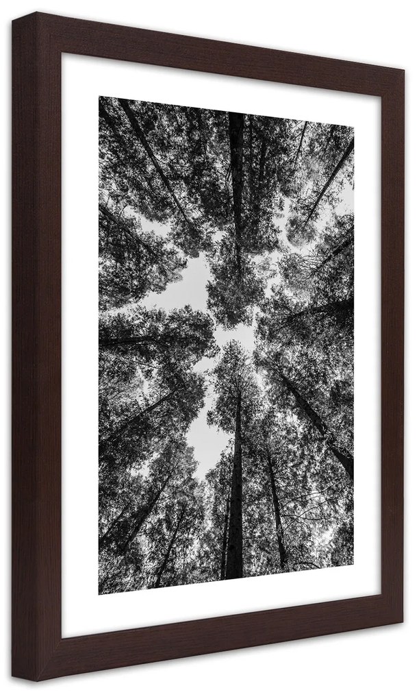 Gario Plagát Koruny stromov Farba rámu: Bez rámu, Rozmery: 70 x 100 cm