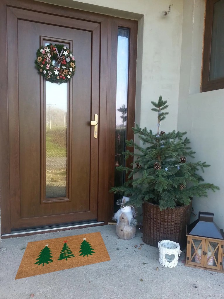 Rohožka 3 stromy vianočné 105671 – na von aj na doma, 45x75, zelená, chodba / predsieň, Hanse Home