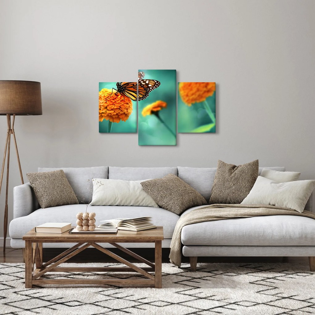 Obraz motýľa (90x60 cm)