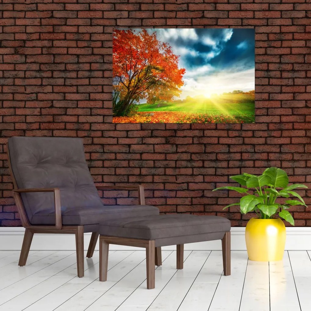 Obraz krajiny zaliate slnečným svitom (90x60 cm)