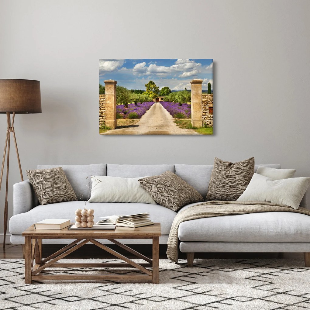 Obraz - Levanduľové cesty (90x60 cm)