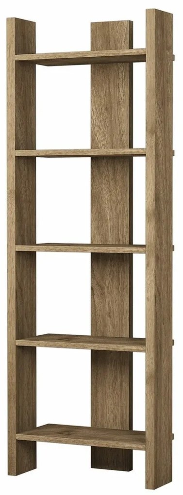 Knižnica Virba Walnut