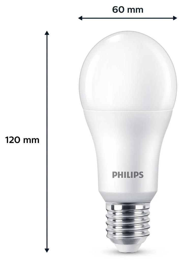 Philips LED E27 13W 1 521lm 2 700 K matná 6 ks