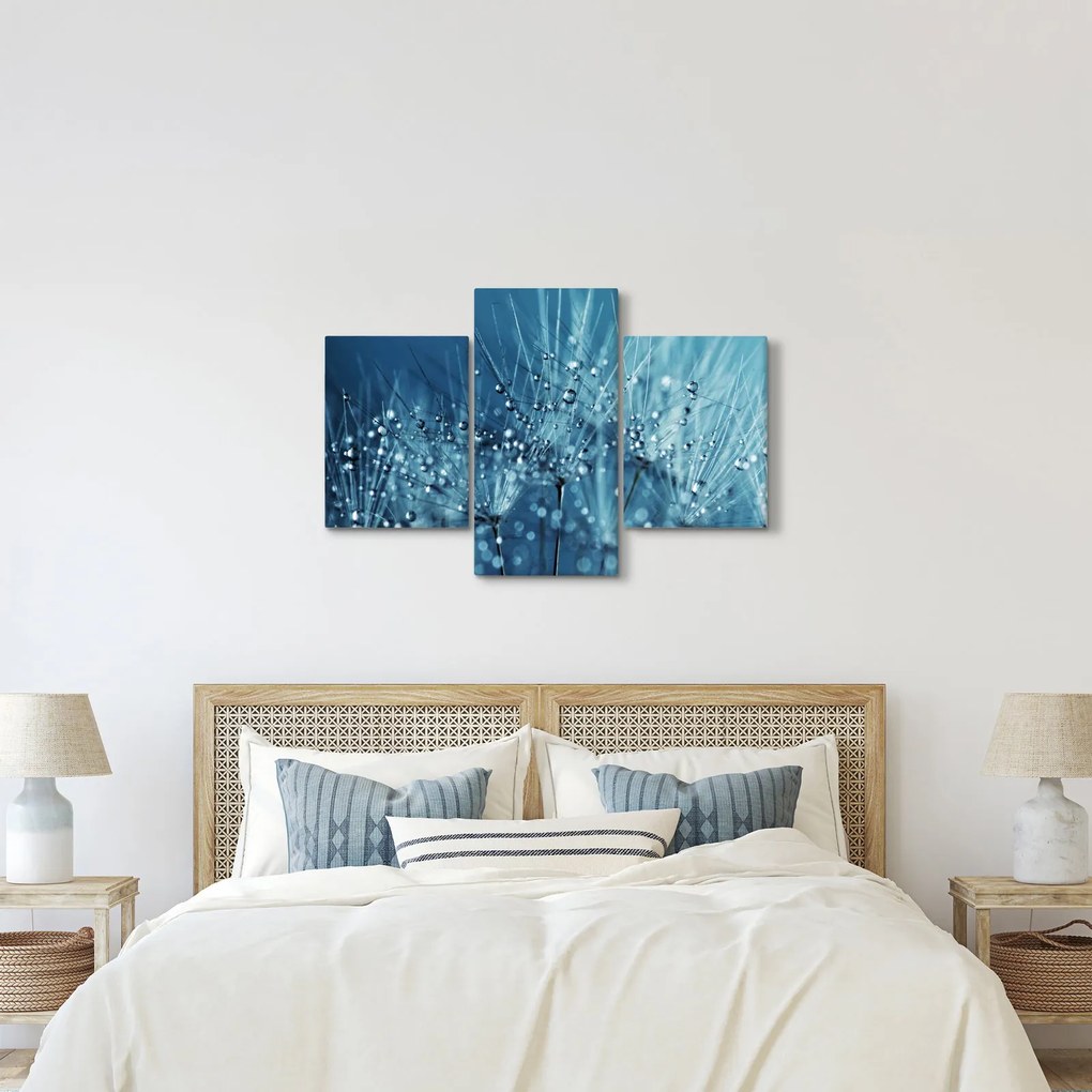 Obraz - Kvapky rosy (90x60 cm)