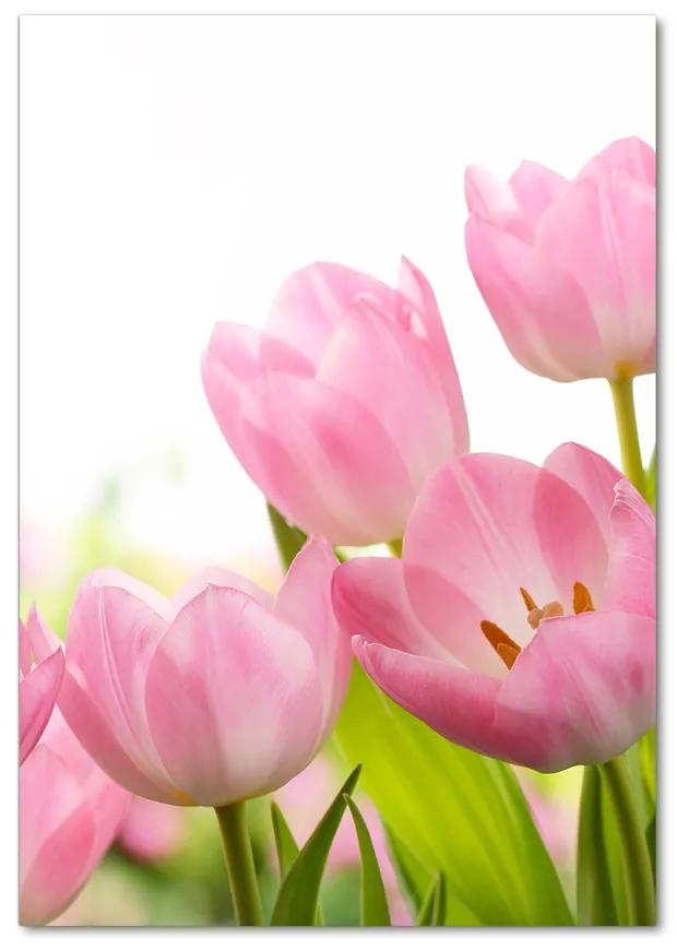 Foto obraz akrylové sklo Ružové tulipány pl-oa-70x100-f-76412458