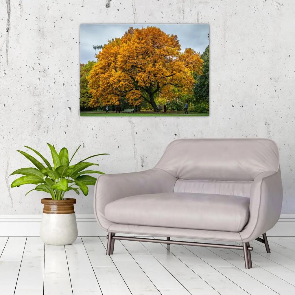 Sklenený obraz stromu (70x50 cm)
