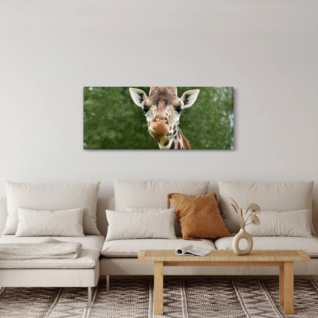 Obraz žirafy (120x50 cm)