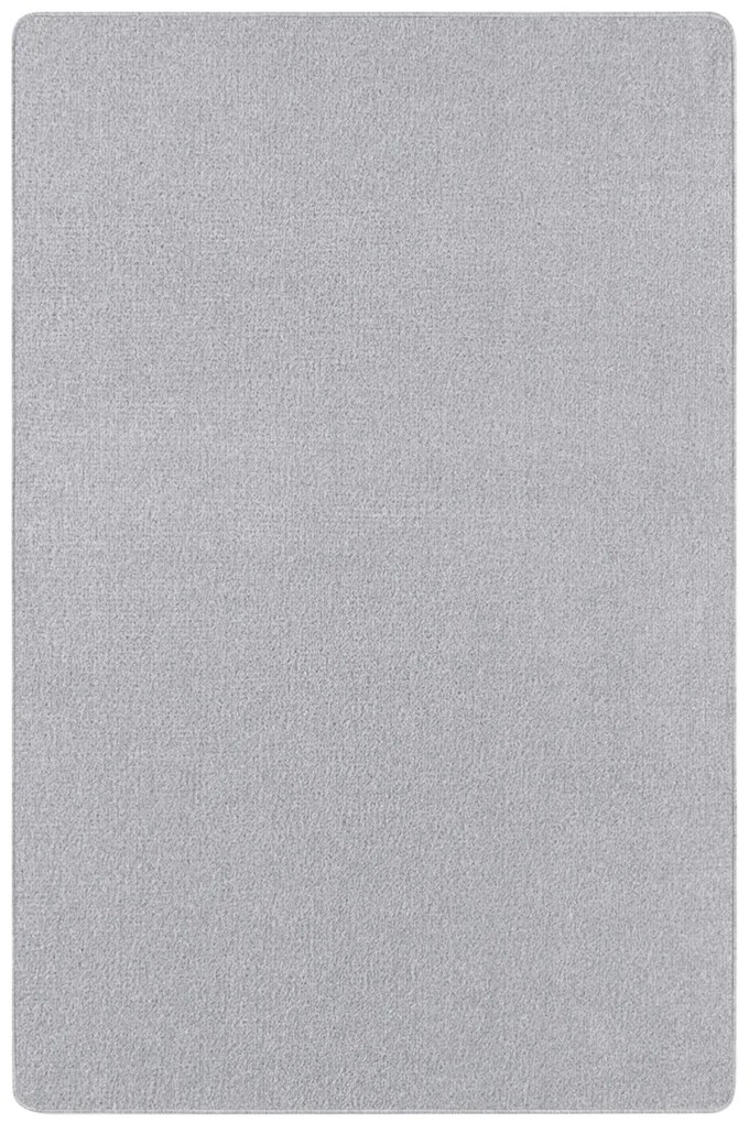 Hanse Home, Kusový koberec Nasty 101595 Silber, 80x150, šedá, chodba / predsieň
