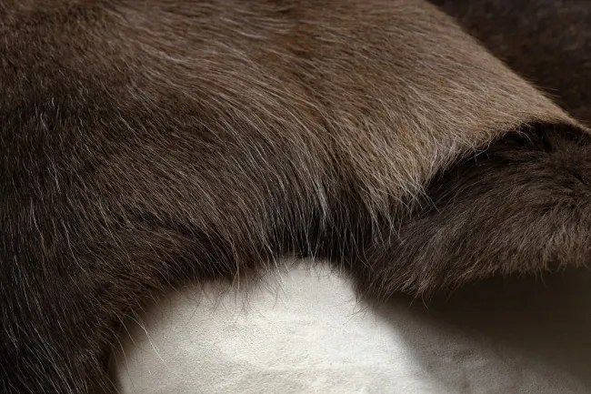 Koberec RENIFER POK010 PREMIUM hnedý