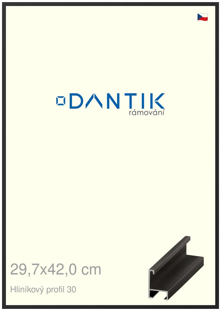DANTIK rám na obraz 29,7x42 | ALU Černá matná (Plexi Čiré)