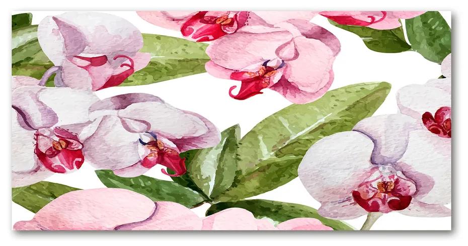 Foto obraz akrylové sklo Ružové orchideye pl-oa-140x70-f-98952398