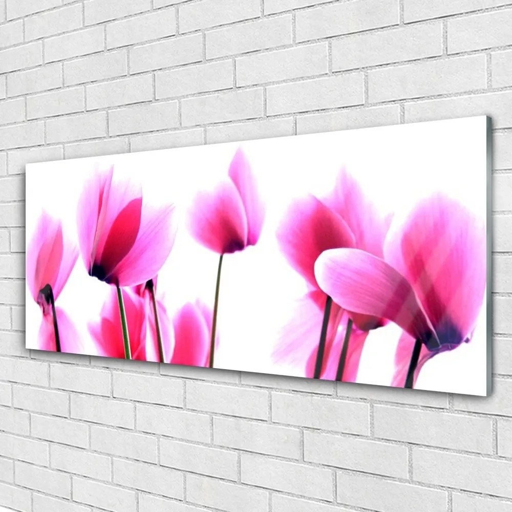 Obraz na akrylátovom skle Kvetiny rastlina 125x50 cm