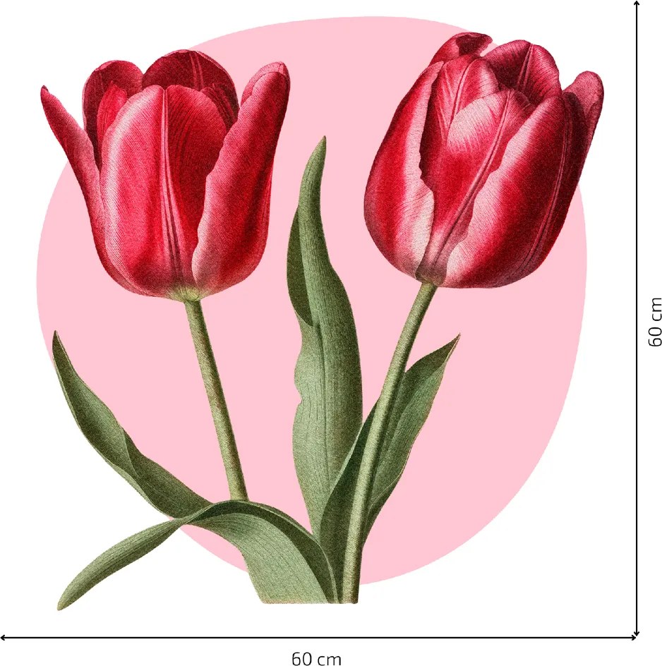 60x60cm Tulipány - textilná nálepka na stenu