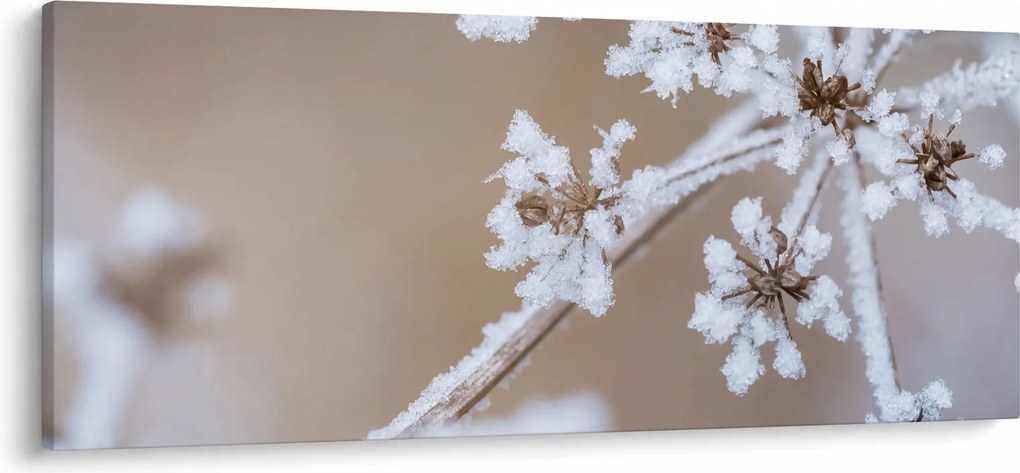 Obraz - Mráz (120x50 cm)
